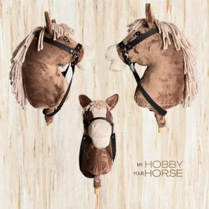 my hobby your horse
