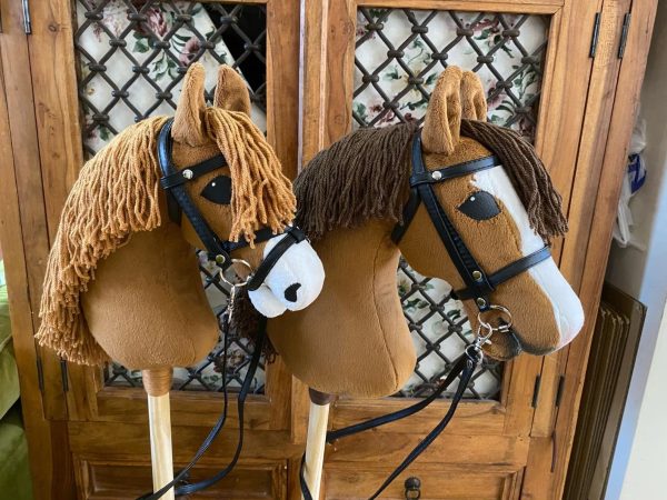 2 Hobby Horses