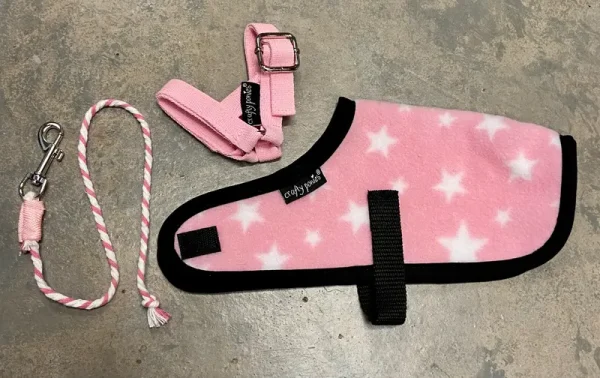 Foal Rug Set - Pink Star