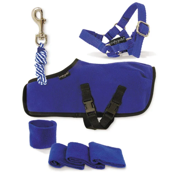 Crafty Ponies Starter Sets Rug - Image 5