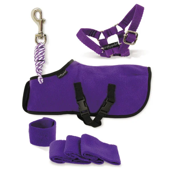 Crafty Ponies Starter Sets Rug - Image 3