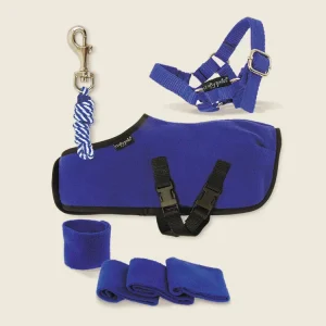 Crafty Pony Rug Set - Blue