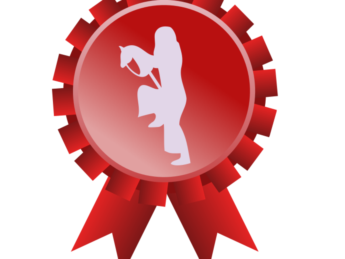 Hobby Horse Competition Coalville