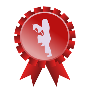 hobby-horse-competitions