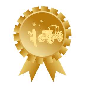 hobby-horse-show