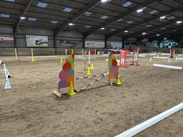 Croft Top Hobby Horse Jumps