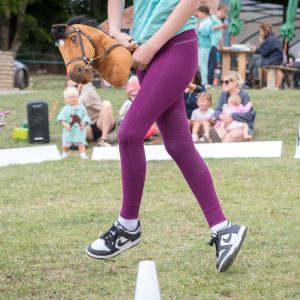 Hobby Horse Dressage
