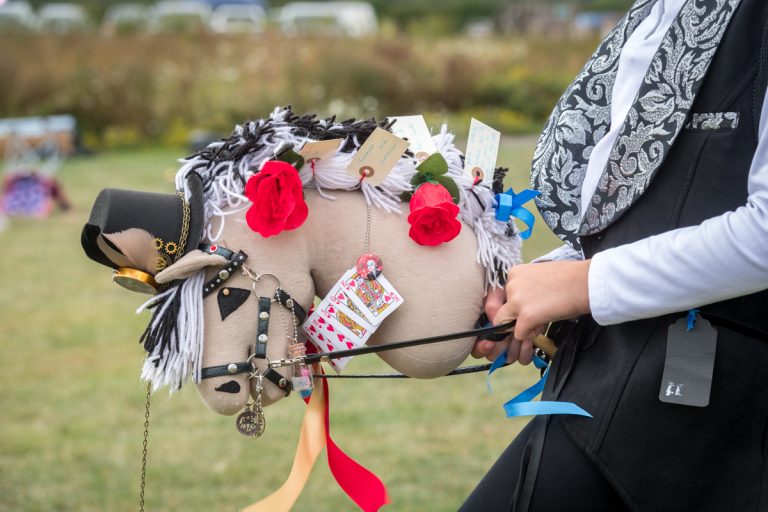 UK Hobby Horse Camp 2026