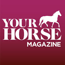 Your Horse Hobby Horses