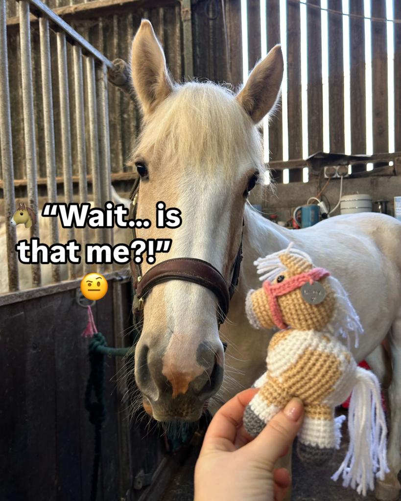 Friendly Order Process