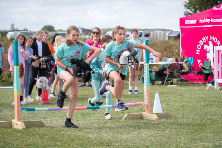 Hobby Horse Race
