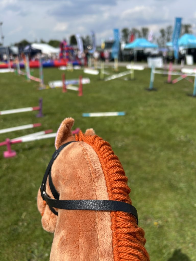 Hobby Horse POV