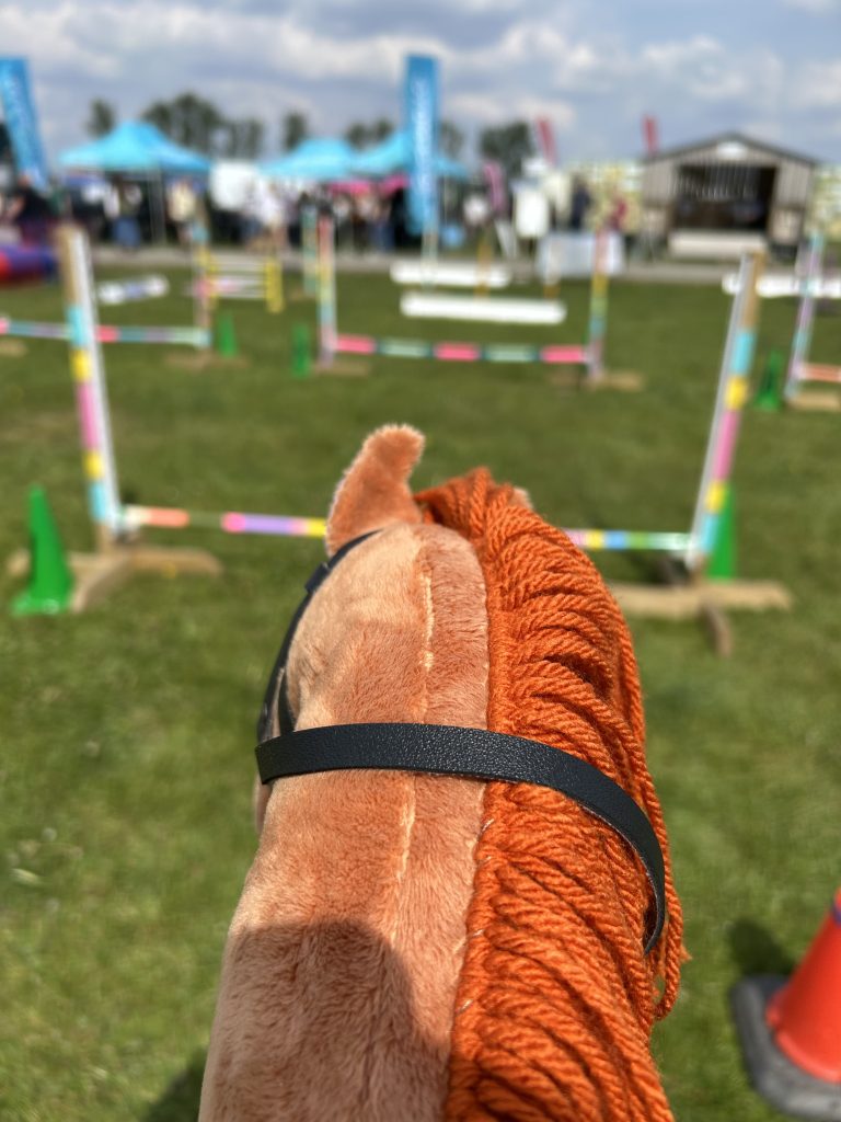 Hobby Horse Looking at Jumps