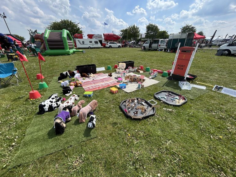 Play Area on Grass