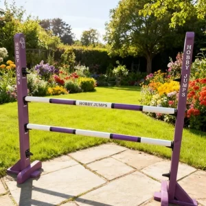 Purple 80cm jump with 2 poles