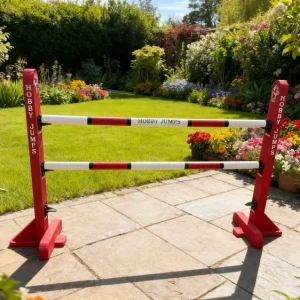 Red 60cm Jump with 2 poles