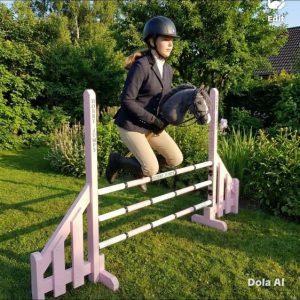The Championship wings 80cm in pink with a rider jumping over the three poles.