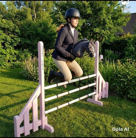 The Championship wings 80cm in pink with a rider jumping over the three poles.